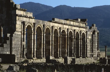 Basilica, AD 217